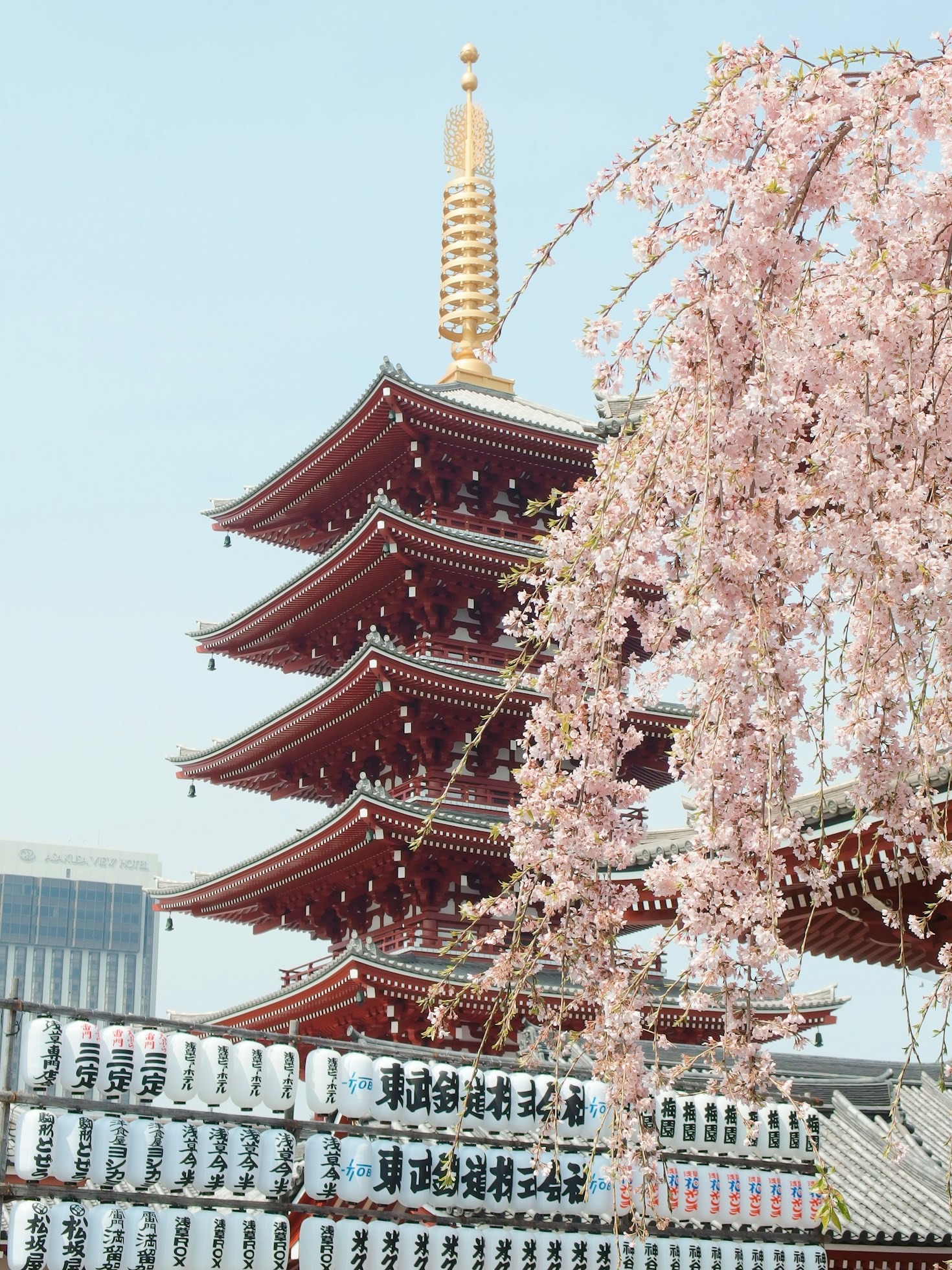 Top 5 Cultural Exchange Programs in Asia